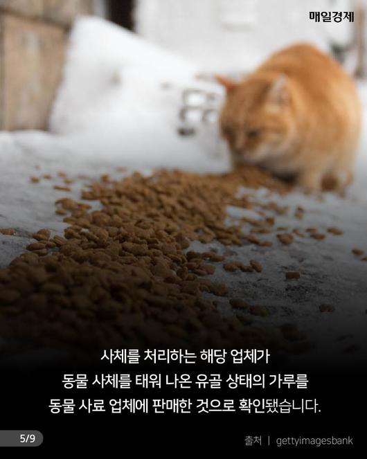 매일경제