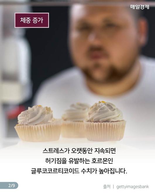 매일경제