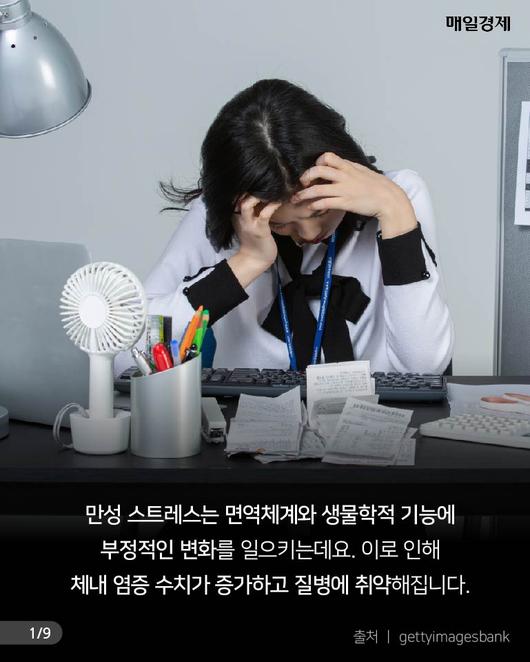 매일경제