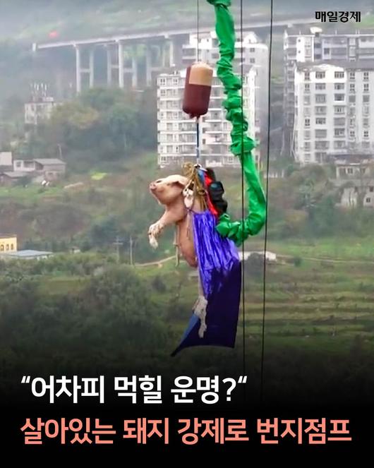 매일경제