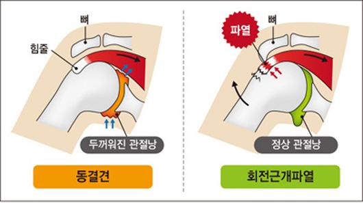 매일경제