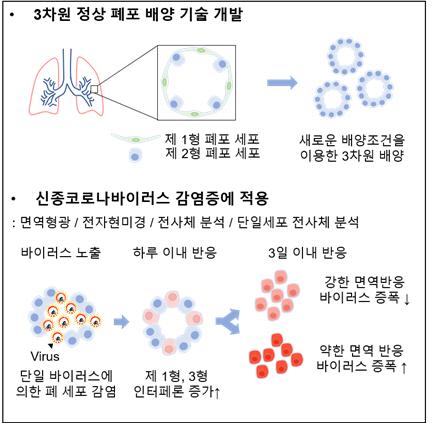 매일경제