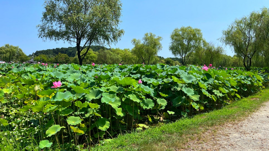 매일경제