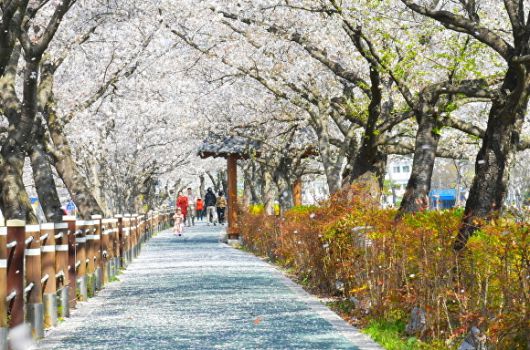 매일경제