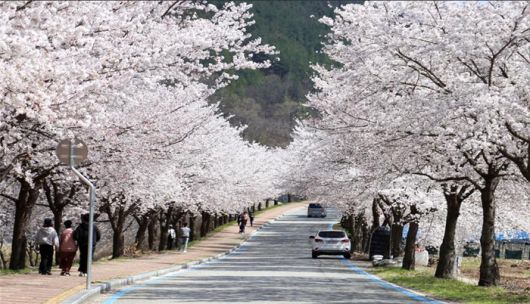 매일경제