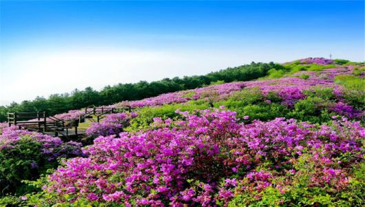 매일경제