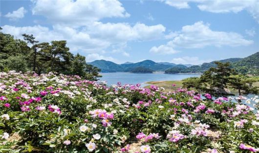 매일경제