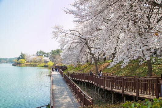 매일경제
