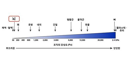 중앙일보