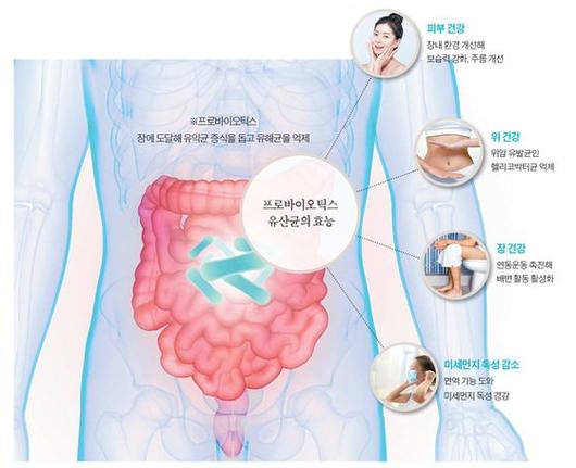 중앙일보