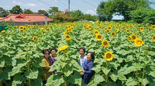 중앙일보