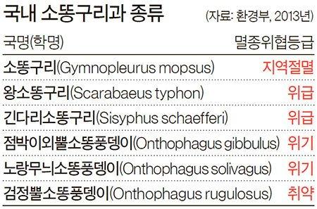 중앙일보