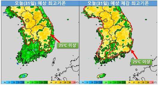 중앙일보