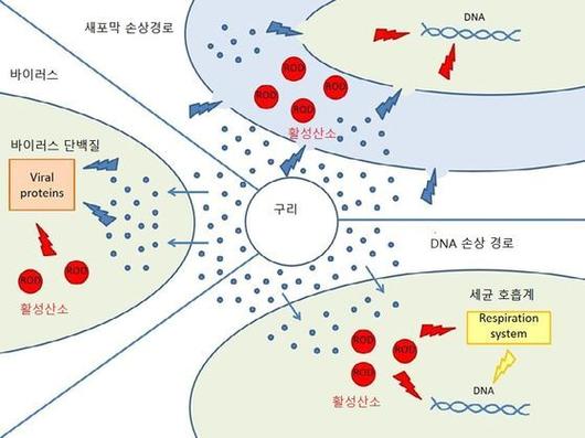 중앙일보