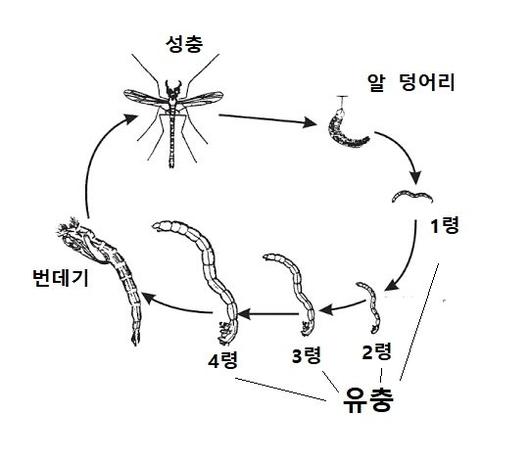 중앙일보