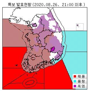 중앙일보