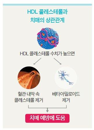 중앙일보