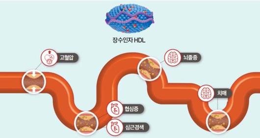 중앙일보