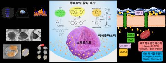 중앙일보