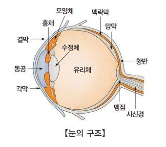 중앙일보