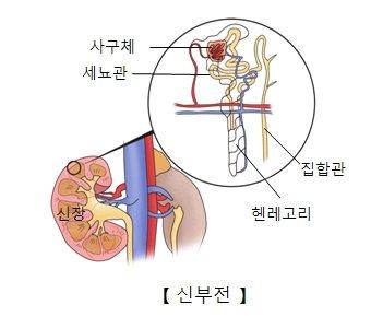 중앙일보