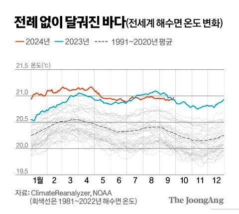 중앙일보