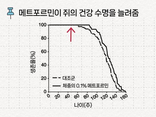 중앙일보