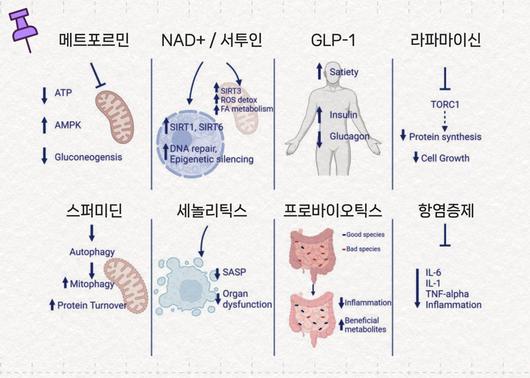 중앙일보