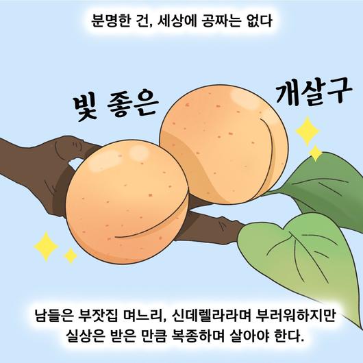 중앙일보