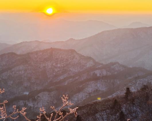 중앙일보