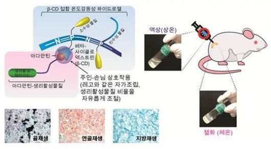 아시아경제