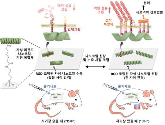 아시아경제