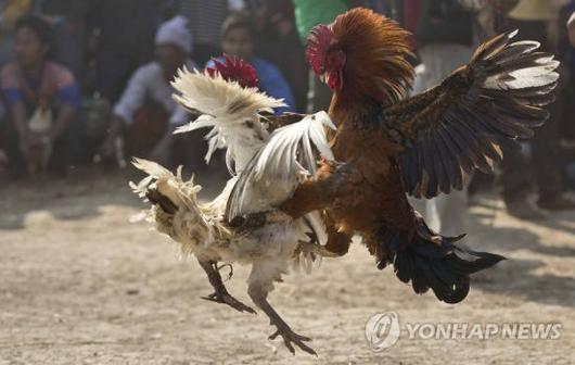 아시아경제