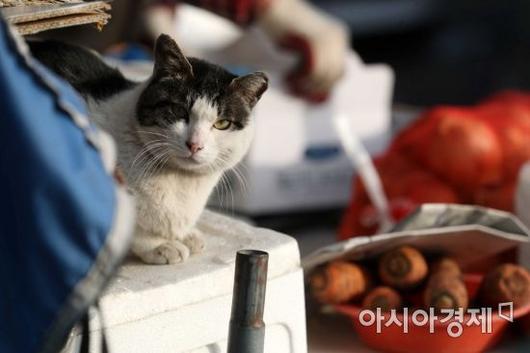 아시아경제