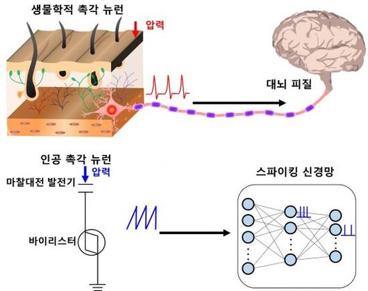 아시아경제