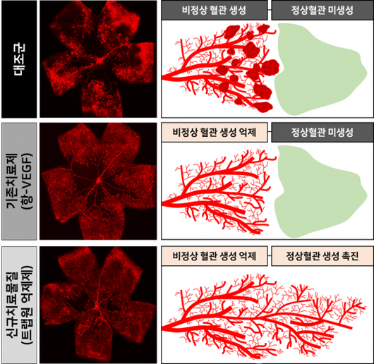 아시아경제