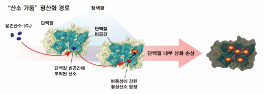 아시아경제