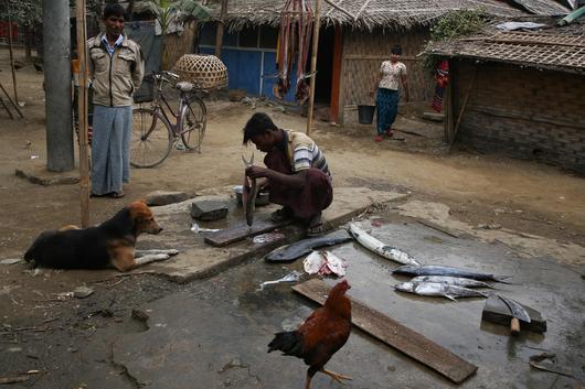 조선일보