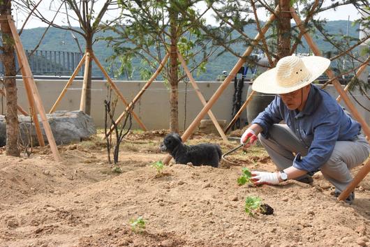 조선일보