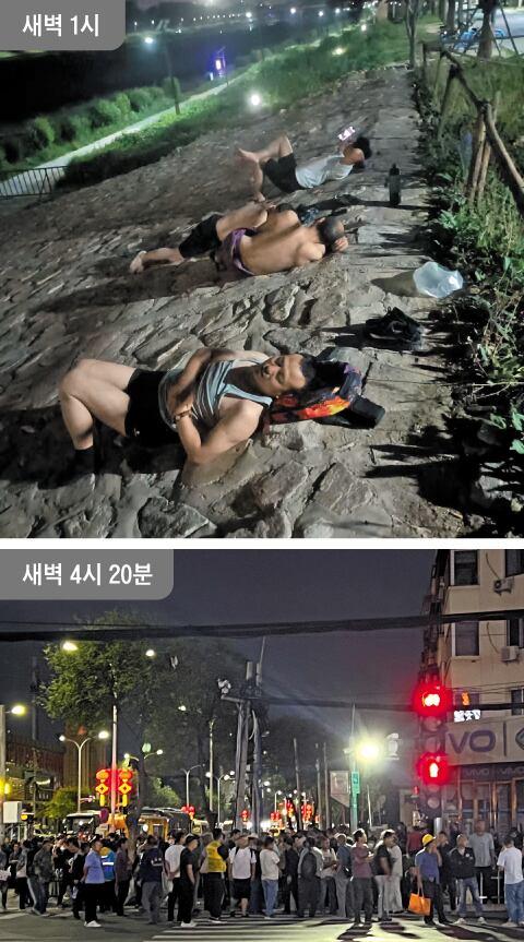 조선일보