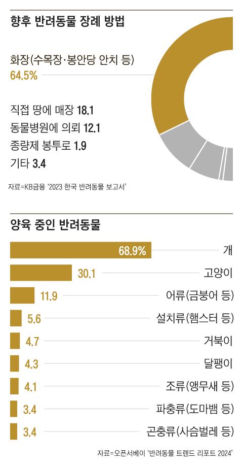 조선일보