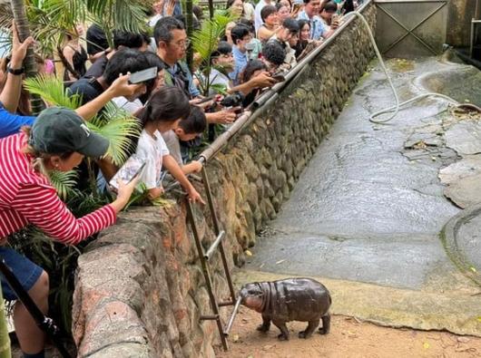 조선일보