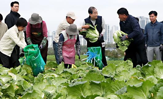 조선일보