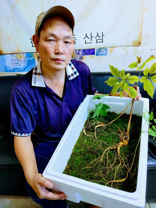 조선일보