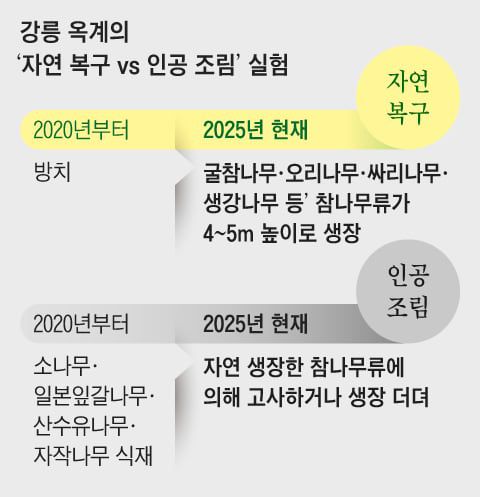 조선일보