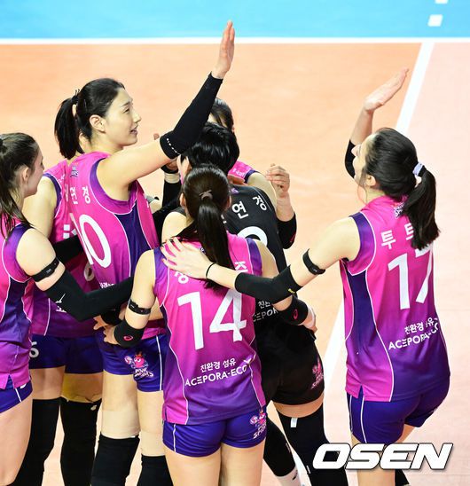 OSEN