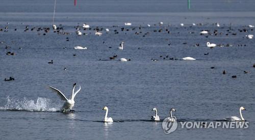 연합뉴스