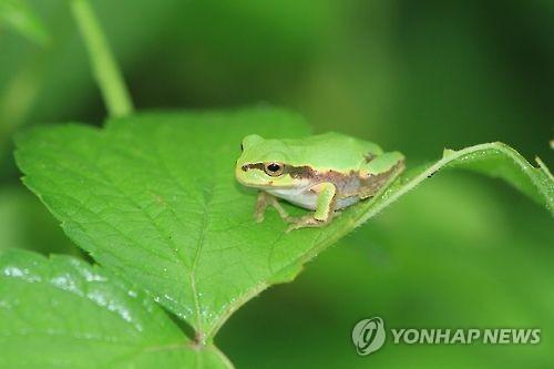 연합뉴스