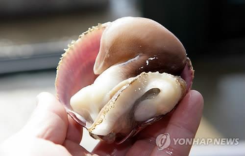 연합뉴스