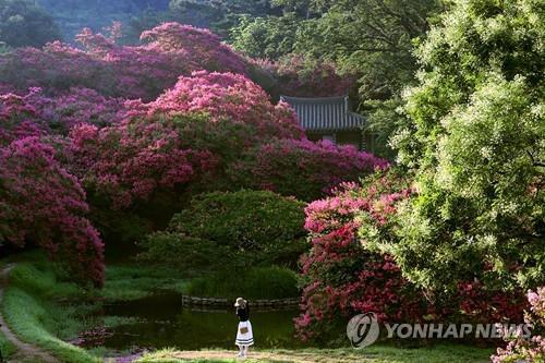 연합뉴스